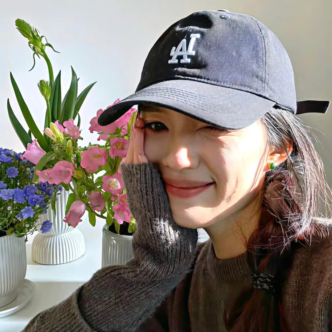 菊花香 海报